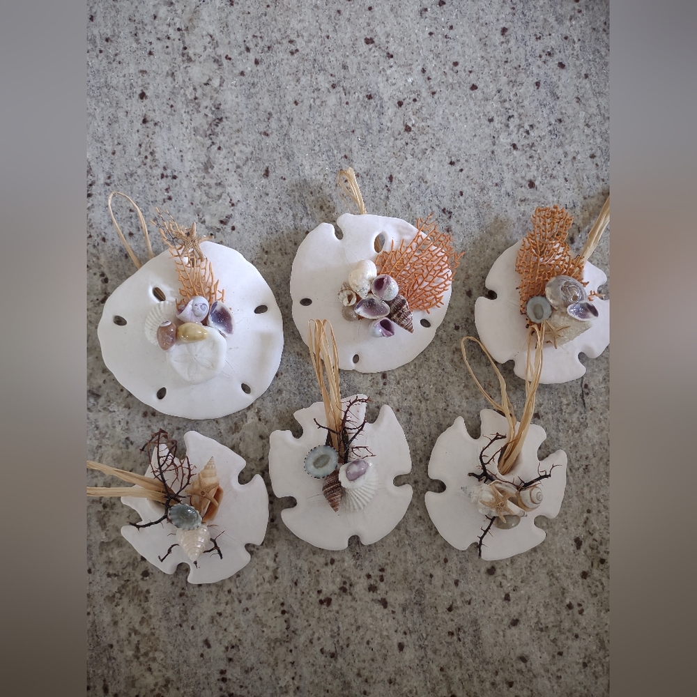 Sand Dollar Shell and Black Coral Christmas Ornaments